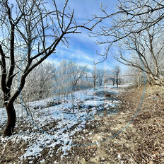 4 сотки, участок - изображение 4