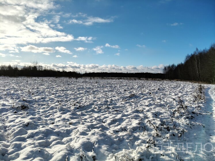 62,1 м², 2-комнатная квартира 33 141 020 ₽ - изображение 43