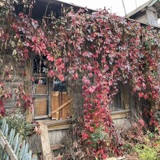 Квартира 25 м², 2-комнатная - изображение 3