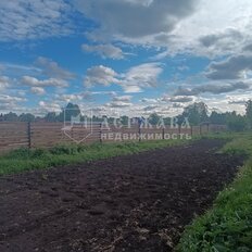 5,5 сотки, участок - изображение 4