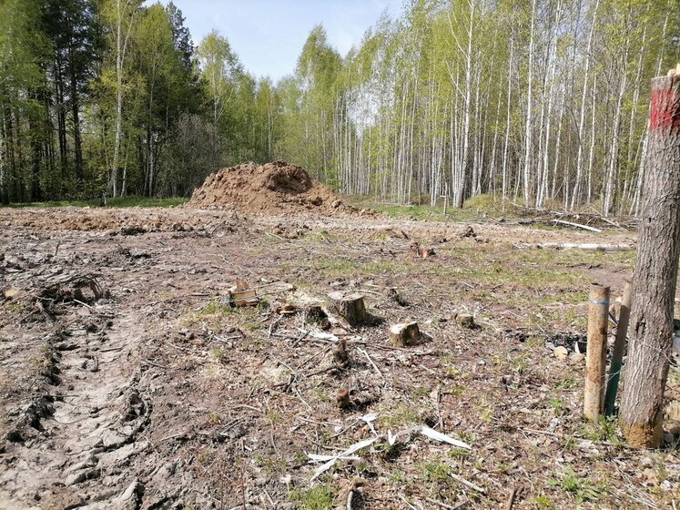 21,9 сотки, участок 1 100 000 ₽ - изображение 41