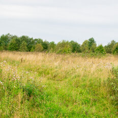 10 соток, участок - изображение 2