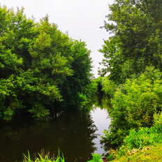 дом + 5,5 сотки, участок - изображение 1