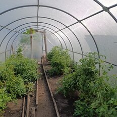 6 соток, участок - изображение 1