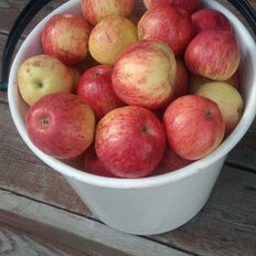 дом + 3 сотки, участок - изображение 1