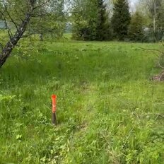 8 соток, участок - изображение 2