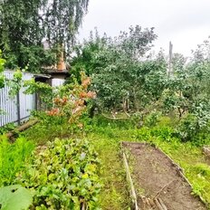 6 соток, участок - изображение 2