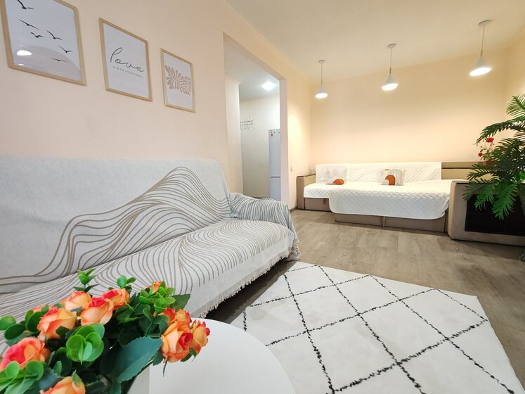 25 м², 1-комнатная квартира 1 500 ₽ в сутки - изображение 62