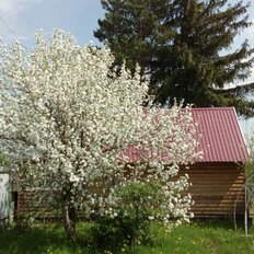 6 соток, участок - изображение 1