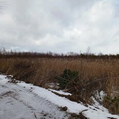 12 соток, участок - изображение 4