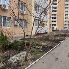 Квартира 39 м², 1-комнатная - изображение 4