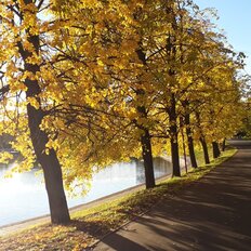 Квартира 89 м², 3-комнатная - изображение 4