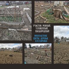 6 соток, участок - изображение 4
