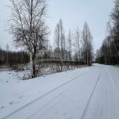 11,7 сотки, участок - изображение 3