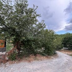 3 сотки, участок - изображение 3