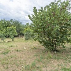 5 соток, участок - изображение 5