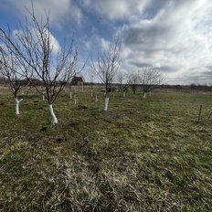 16 соток, участок - изображение 4