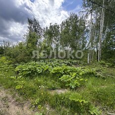 7,1 сотки, участок - изображение 2