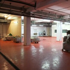 950 м², производственное помещение - изображение 4