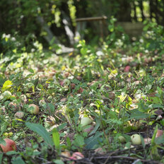 дом + 5,8 сотки, участок - изображение 2