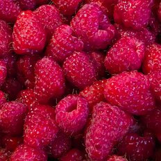 5 соток, участок - изображение 4