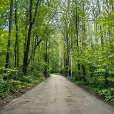 9,6 сотки, участок - изображение 1