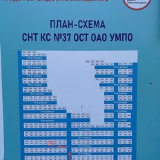 8 соток, участок - изображение 3