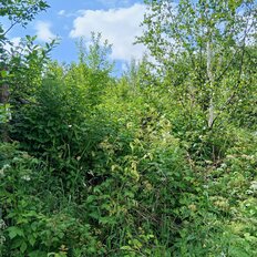 4,3 сотки, участок - изображение 1