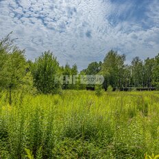 1 га, участок - изображение 5