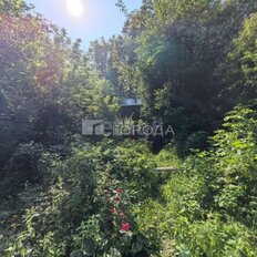 7,8 сотки, участок - изображение 4