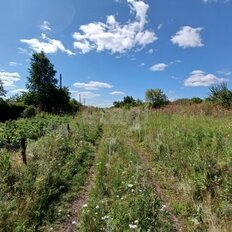 5 соток, участок - изображение 4