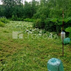 8,1 сотки, участок - изображение 5