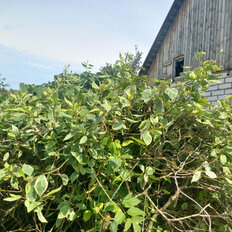 дом + 6 соток, участок - изображение 3