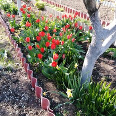 дом + 5 соток, участок - изображение 5