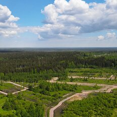 12 соток, участок - изображение 2