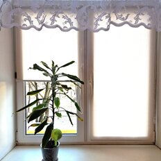 Квартира 83 м², 3-комнатная - изображение 2