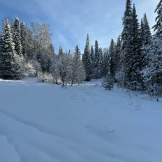 74 сотки, участок - изображение 3