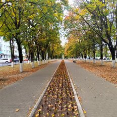 Квартира 54,1 м², 3-комнатная - изображение 1