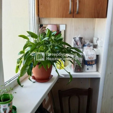 Квартира 34 м², 1-комнатная - изображение 5