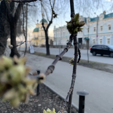 Квартира 66,4 м², 3-комнатная - изображение 2