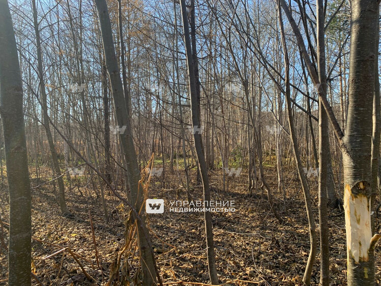 10 соток, участок 900 000 ₽ - изображение 41