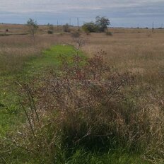 7,5 сотки, участок - изображение 1