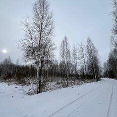 11,7 сотки, участок - изображение 1