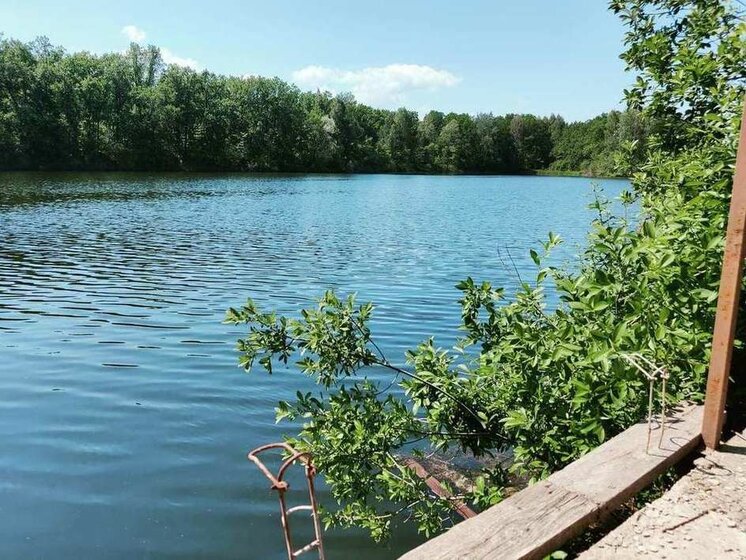 37 м² дом, 30 соток участок 2 000 000 ₽ - изображение 48