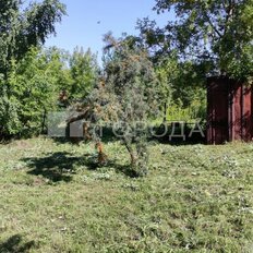 5 соток, участок - изображение 4