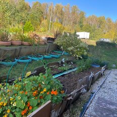 Квартира 29 м², 1-комнатная - изображение 1