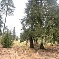 10,3 сотки, участок - изображение 5