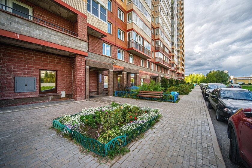 50 м², 1-комнатная квартира 40 000 ₽ в месяц - изображение 87
