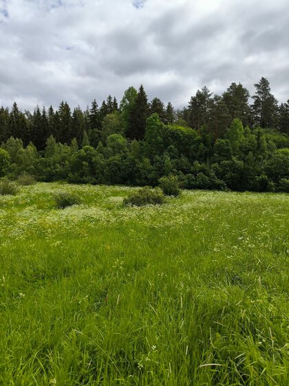 45,4 м², 1-комнатная квартира 7 100 000 ₽ - изображение 16