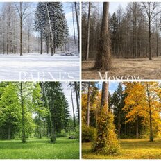 44 сотки, участок - изображение 2